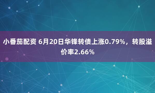 小番茄配资 6月20日华锋转债上涨0.79%，转股溢价率2.66%