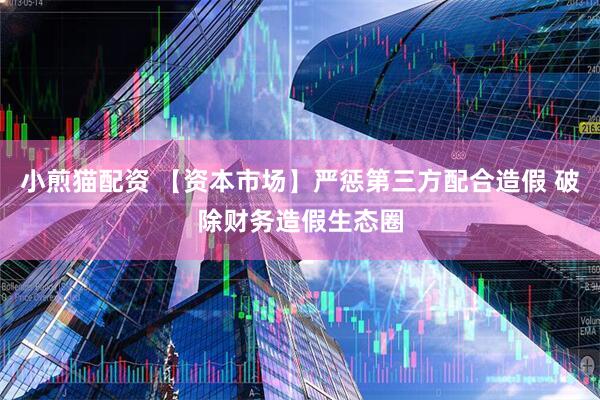 小煎猫配资 【资本市场】严惩第三方配合造假 破除财务造假生态圈