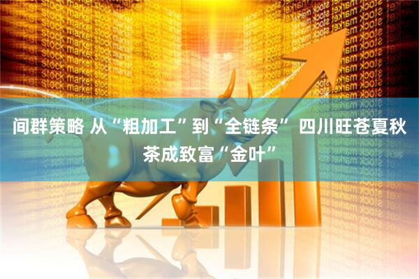 间群策略 从“粗加工”到“全链条” 四川旺苍夏秋茶成致富“金叶”