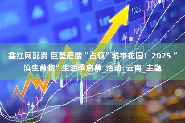 鑫红网配资 巨型蘑菇“占领”城市花园！2025“滇生菌物”生活季启幕_活动_云南_主题
