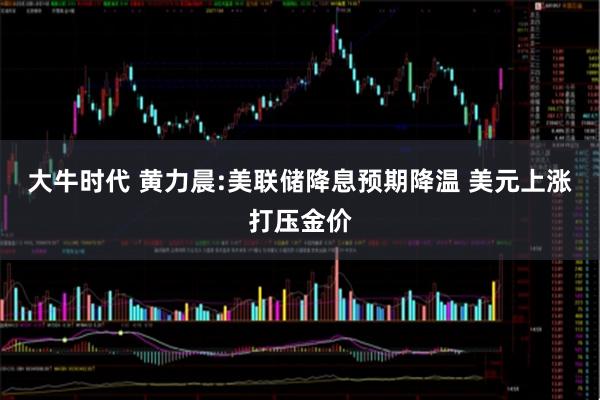 大牛时代 黄力晨:美联储降息预期降温 美元上涨打压金价