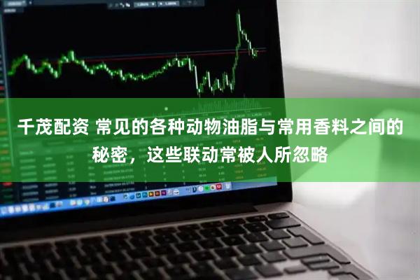 千茂配资 常见的各种动物油脂与常用香料之间的秘密，这些联动常被人所忽略