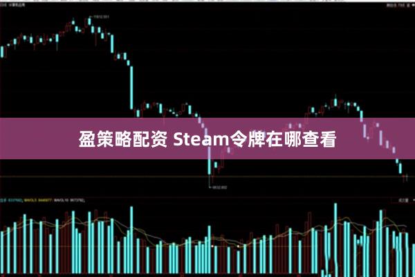 盈策略配资 Steam令牌在哪查看